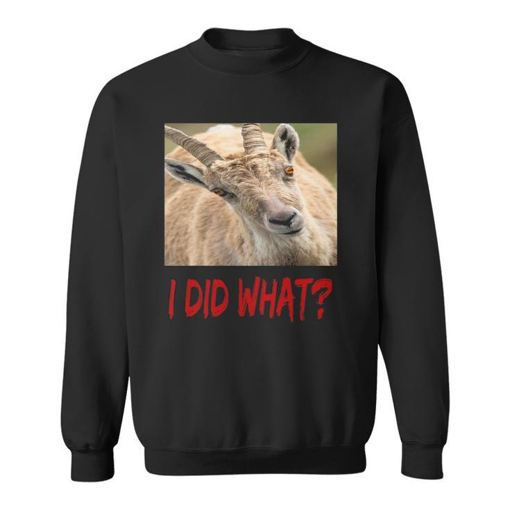 Funny Horned Scapegoat Tee I Did What Sweatshirt