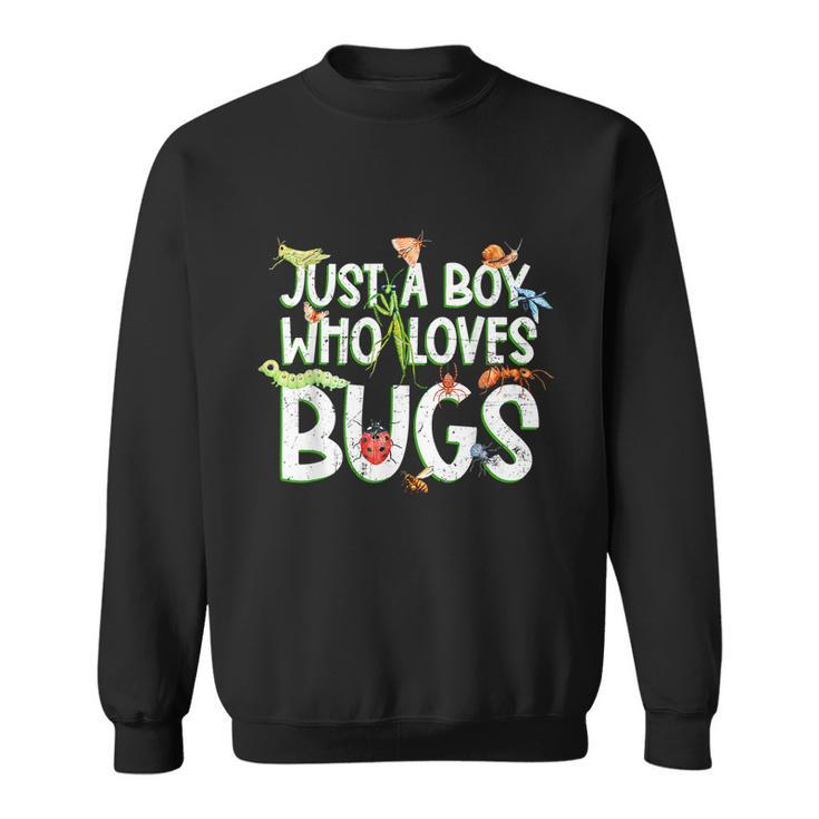 Funny Insect Just A Boy Who Loves Bug Gift Tee Fashion Cute Graphic Design Printed Casual Daily Basic Sweatshirt