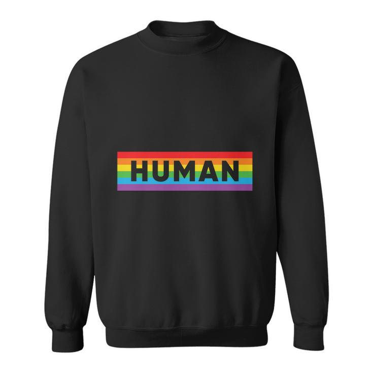 Gay Pride Human Lgbt Pride Month Sweatshirt