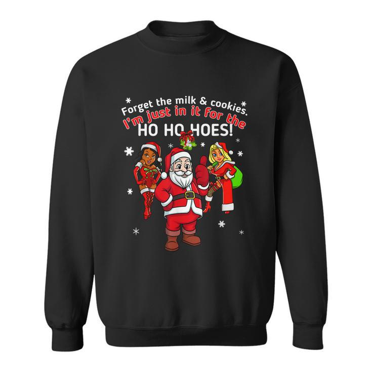I Do It For The Hos Santa Funny Inappropriate Christmas Men Graphic Design Printed Casual Daily Basic Sweatshirt