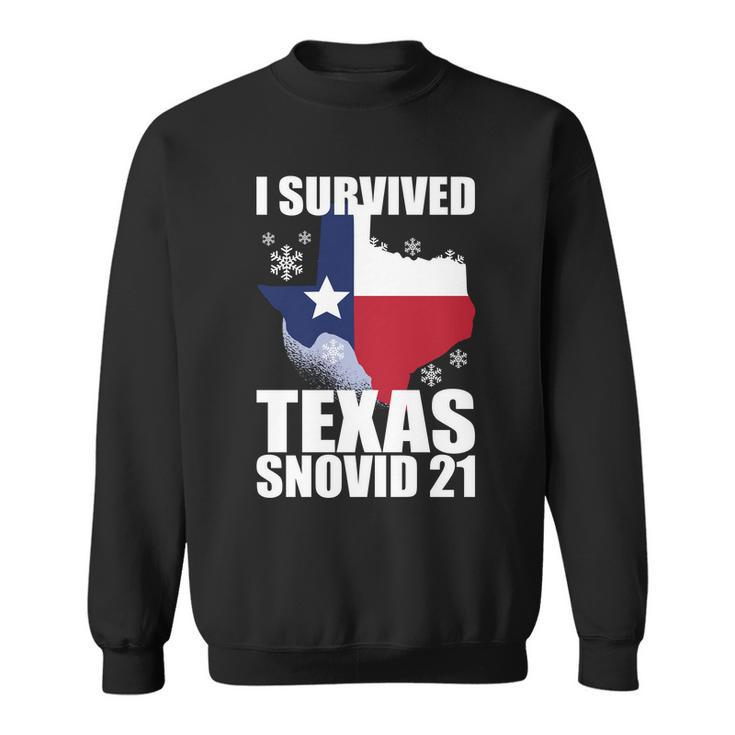 I Survived Texas Snow Storm Blizzard Snovid 21 Tshirt Sweatshirt