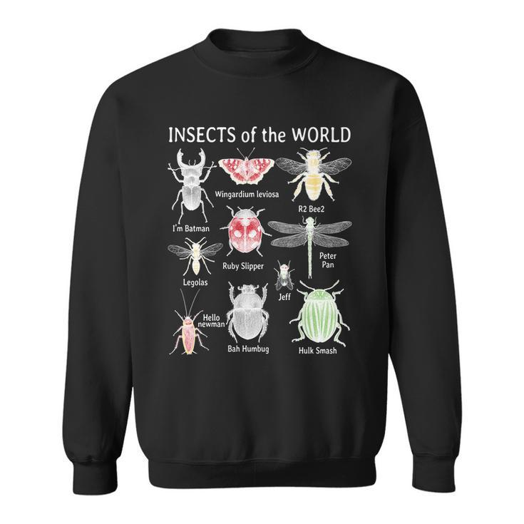Insects Of The World Tshirt Sweatshirt