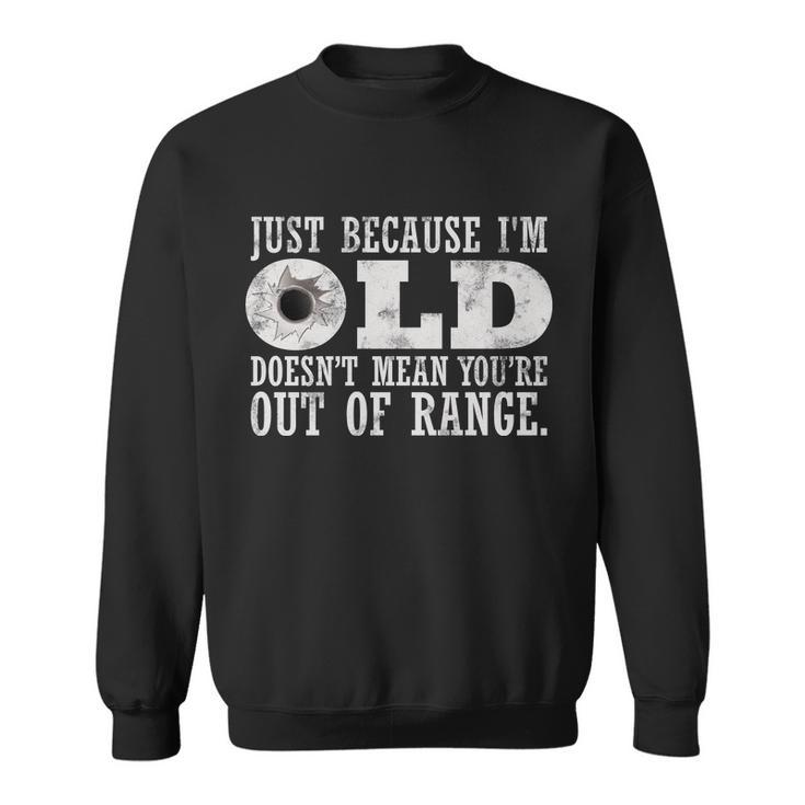 Just Because Im Old Doesnt Mean Your Out Of Range Tshirt Sweatshirt