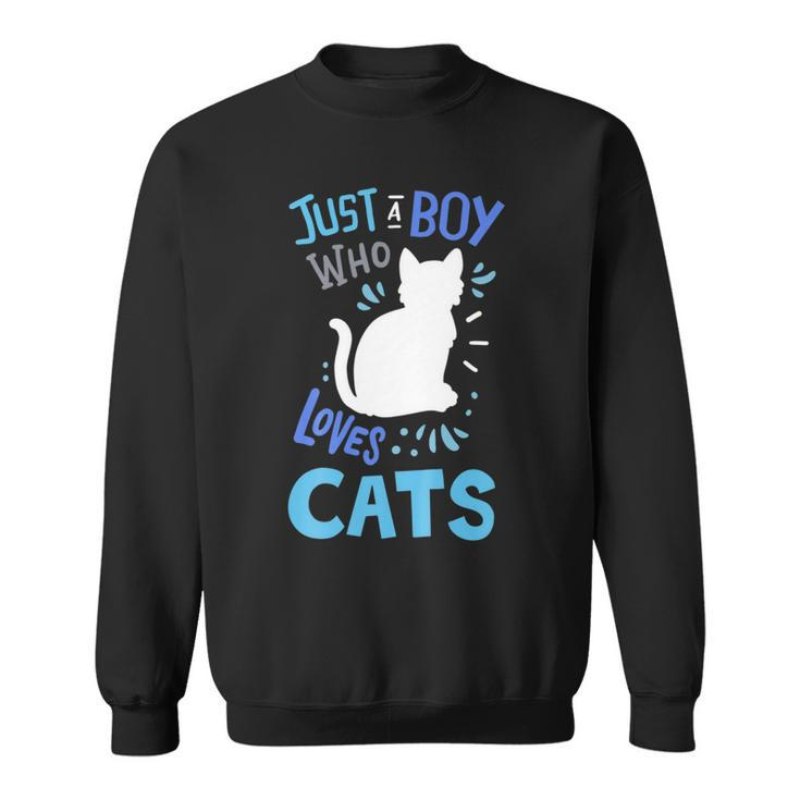 Kids Cat Just A Boy Who Loves Cats Gift For Cat Lovers   Sweatshirt