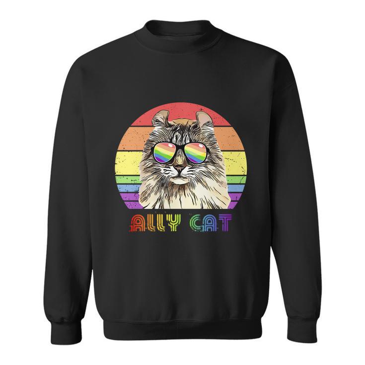 Lgbtq Ally Cat Rainbow Gay Pride Flag Lgbt Funny Gift Sweatshirt