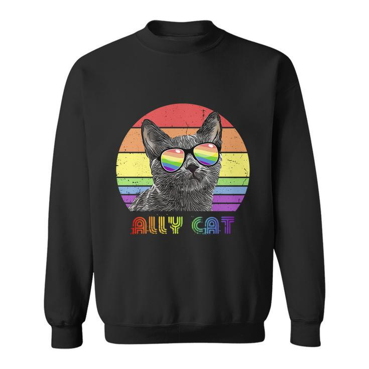 Lgbtq Ally Cat Rainbow Gay Pride Flag Lgbt Funny Gift V2 Sweatshirt