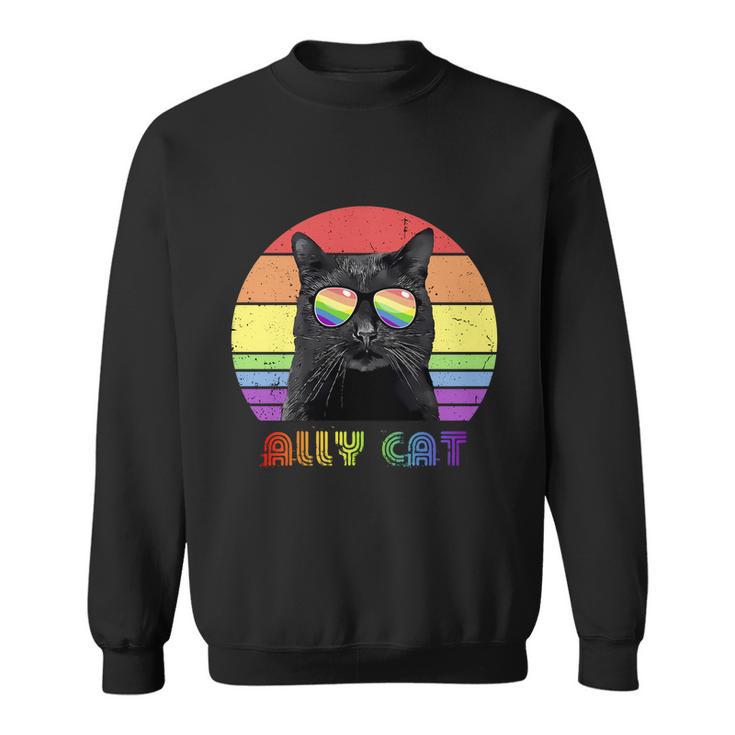 Lgbtq Ally Cat Rainbow Gay Pride Flag Lgbt Gift V3 Sweatshirt