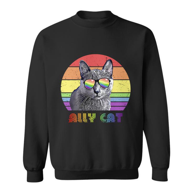 Lgbtq Ally Cat Rainbow Gay Pride Flag Lgbt Gift V4 Sweatshirt