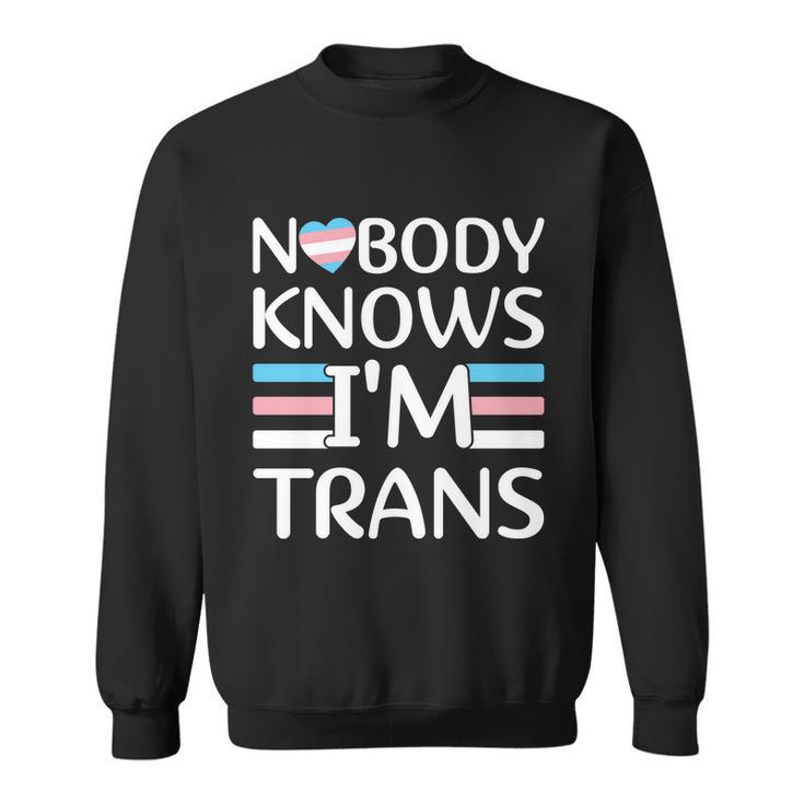 Nobody Knows Im Trans Transgender Pride Month Sweatshirt