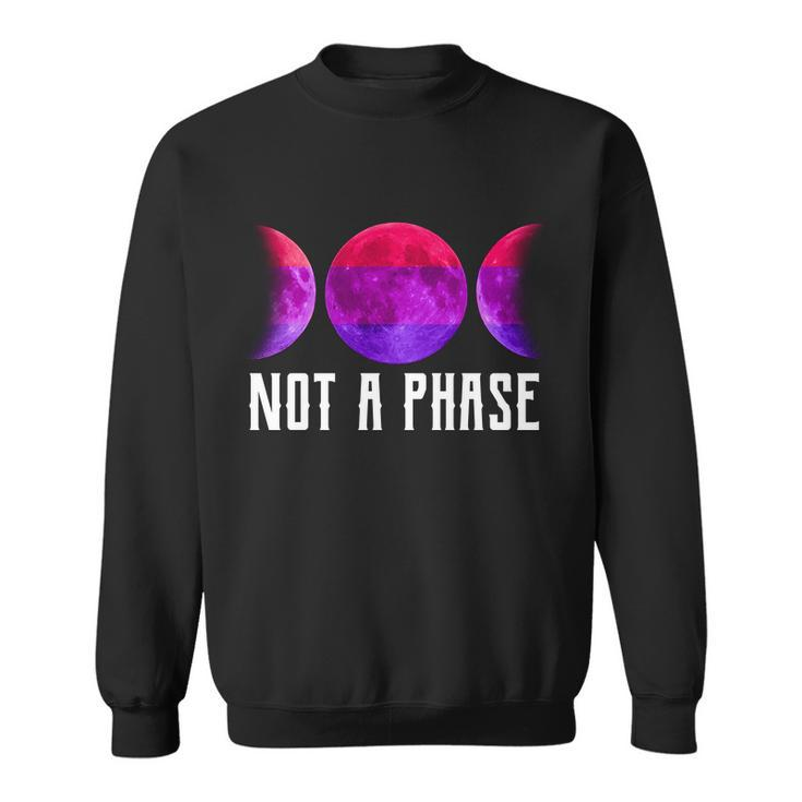 Not A Phase Bi Pride Bisexual Sweatshirt