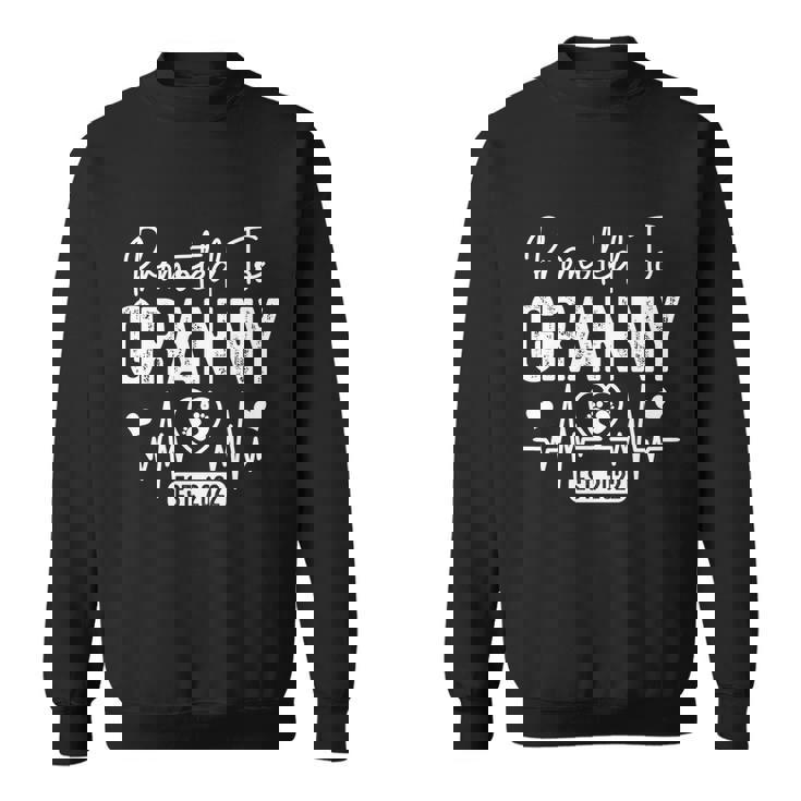 Promoted To Granny Est 2022 Soon To Be Granny Funny Gift Graphic Design Printed Casual Daily Basic Sweatshirt