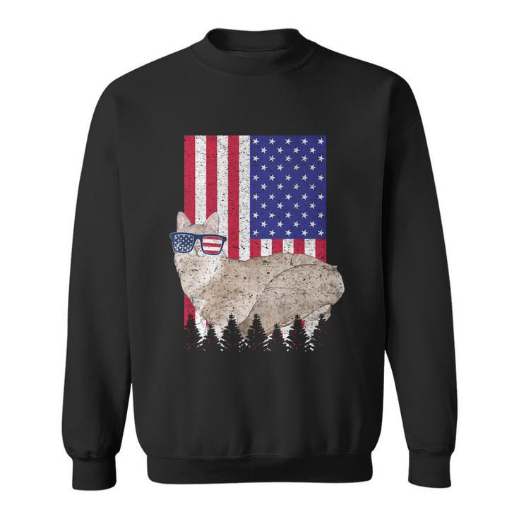 Sausage Patriotic Cat Usa Pride American Flag Funny Gift Sweatshirt