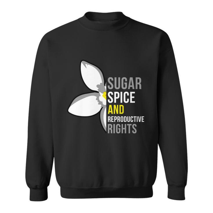 Sugar Spice And Reproductive Rights Funny Gift Sweatshirt