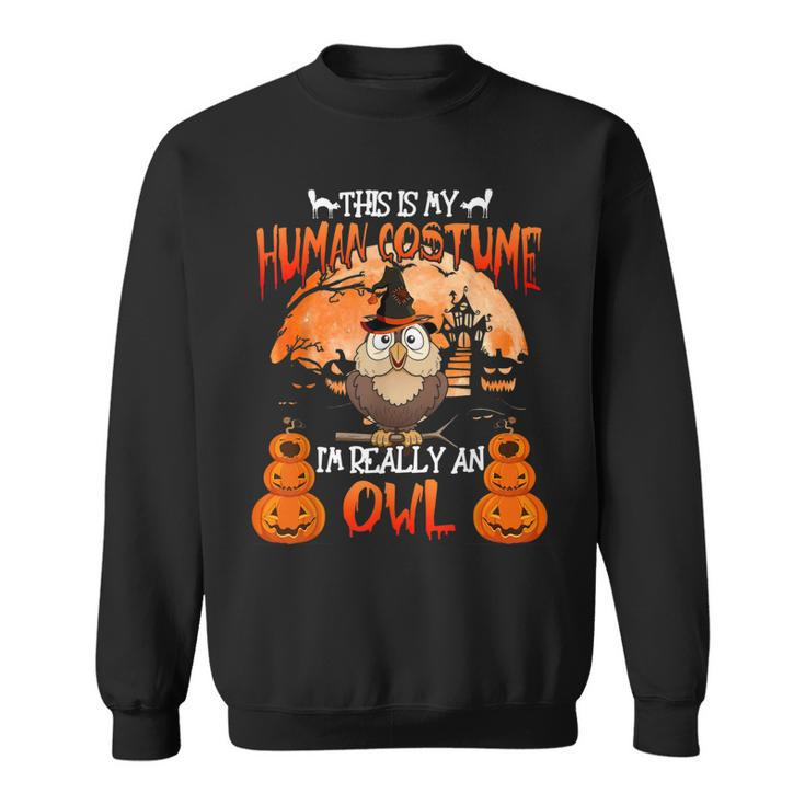 This Is My Human Costume Really An Owl Witch Halloween  Sweatshirt