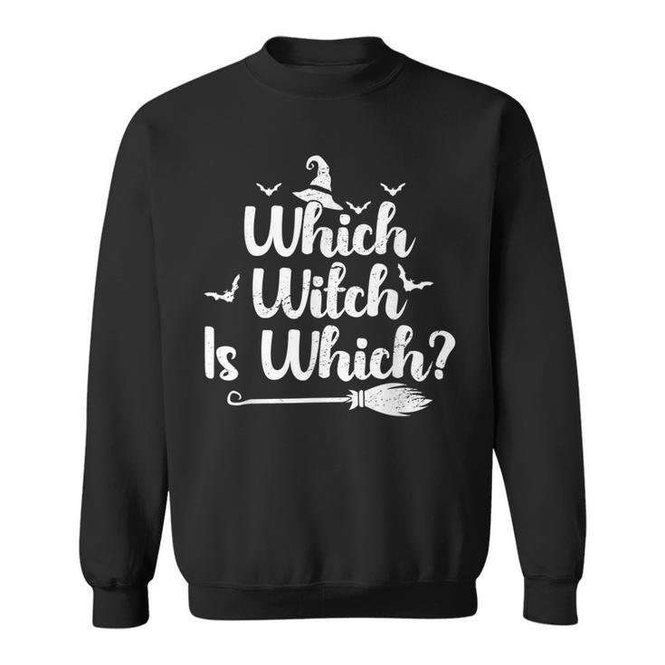 Which Witch Is Which Funny Halloween English Grammar Teacher  V2 Sweatshirt