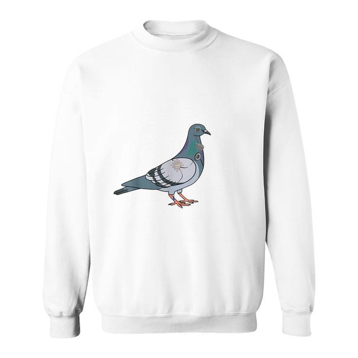 Birds Are Not Real Diagram Sweatshirt