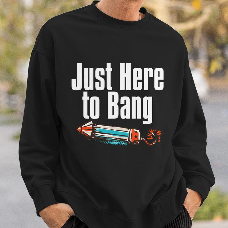 4Th Of July Fireworks Just Here To Bang Funny Firecracker Cool Gift Sweatshirt Gifts for Him