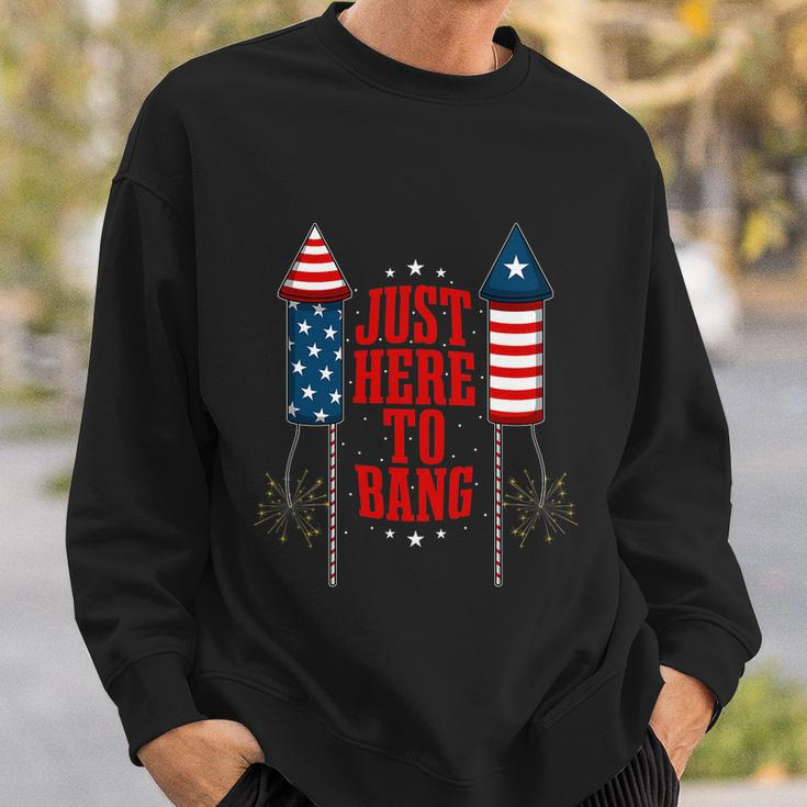 4Th Of July Funny Fireworks Patriotic American Firecracker Sweatshirt Gifts for Him