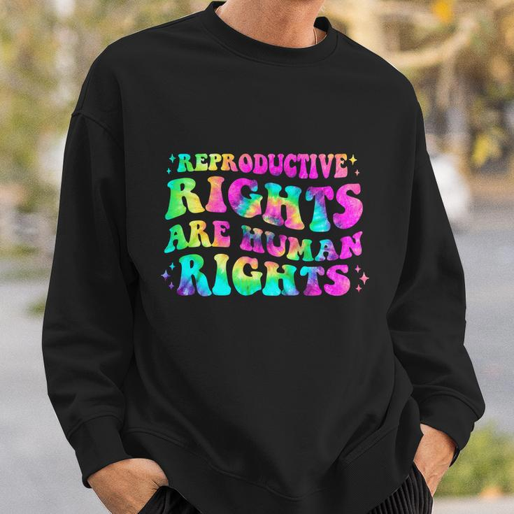 Aesthetic Reproductive Rights Are Human Rights Feminist V4 Sweatshirt Gifts for Him
