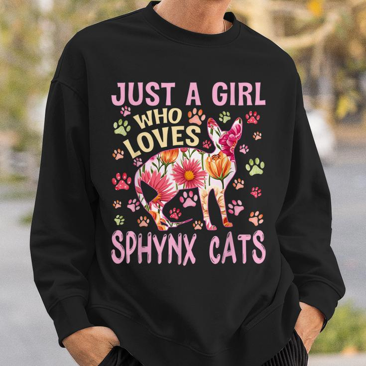 Cat Lover Just A Girl Who Loves Sphynx Cats Funny Sweatshirt Gifts for Him