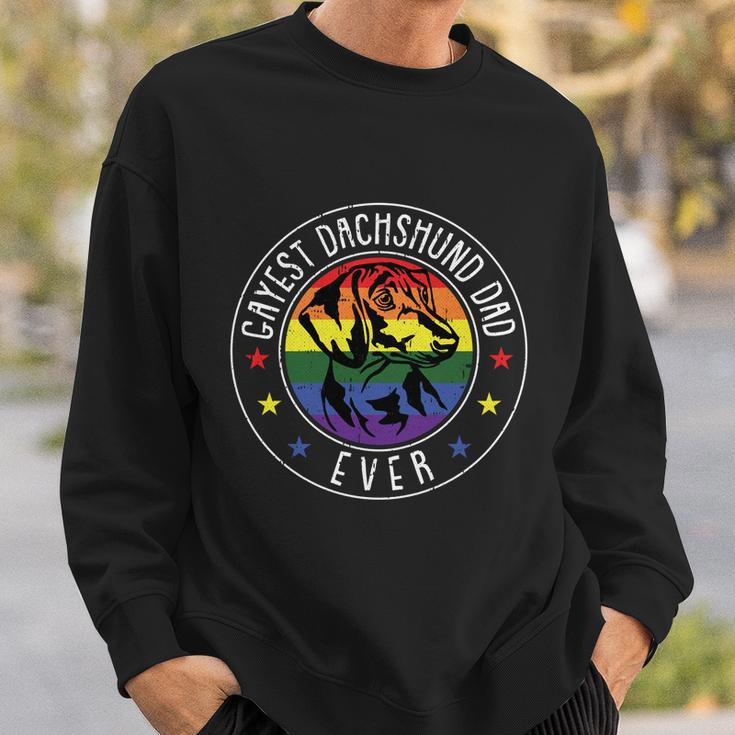 Dachshund Dad Lgbtgreat Giftq Gay Pride Flag Doxie Dog Lover Ally Great Gift Sweatshirt Gifts for Him