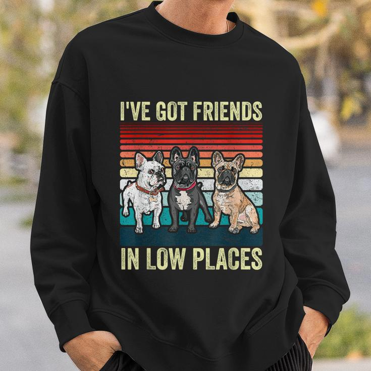 French Bulldog Dog Ive Got Friends In Low Places Funny Dog Sweatshirt Gifts for Him