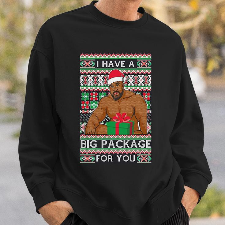 Funny I Have A Big Package For You Ugly Christmas Sweater Tshirt Sweatshirt Gifts for Him