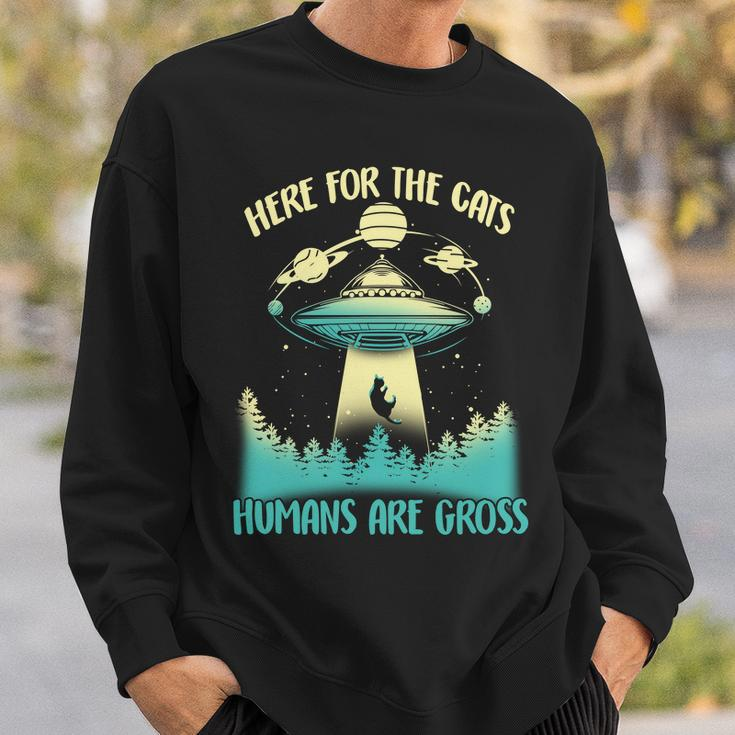 Here For The Cats Humans Are Gross Sweatshirt Gifts for Him