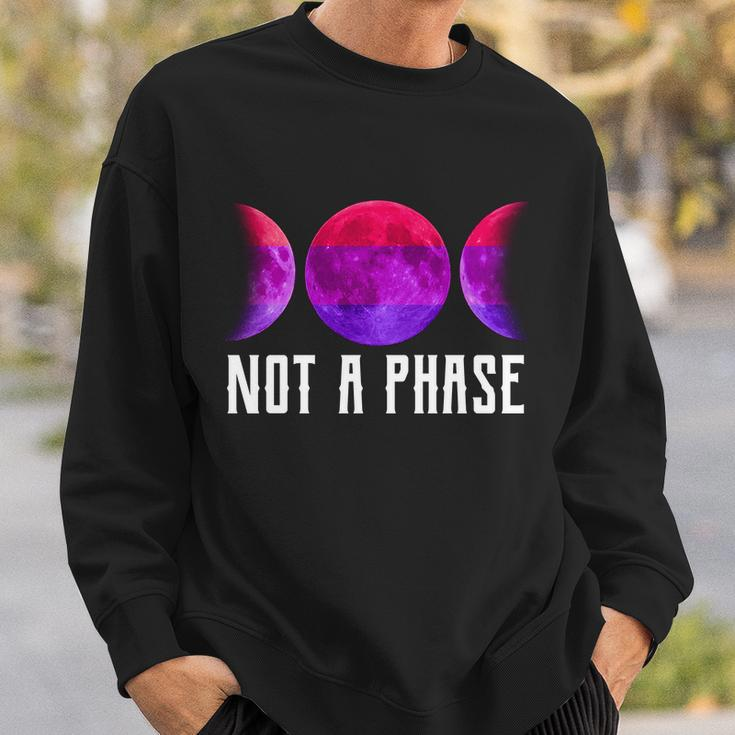 Not A Phase Bi Pride Bisexual Sweatshirt Gifts for Him