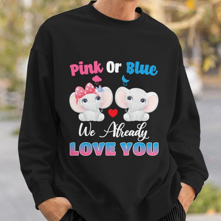 Pink Or Blue We Always Love You Funny Elephant Gender Reveal Gift Sweatshirt Gifts for Him