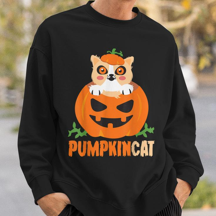 Pumpkin Cat Cute Kitty Trick Or Treat Halloween Costume Sweatshirt Gifts for Him