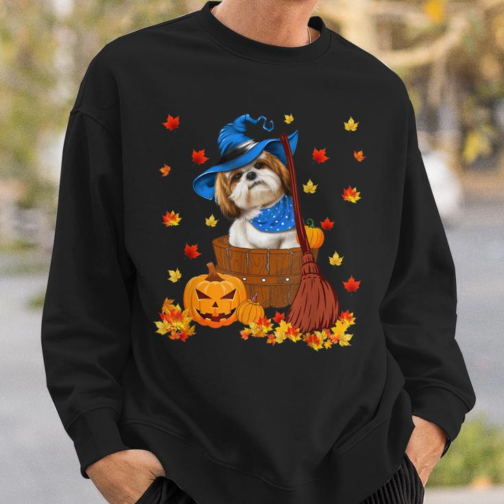 Shih Tzu Dog I Am A Witch - Halloween Sweatshirt Gifts for Him