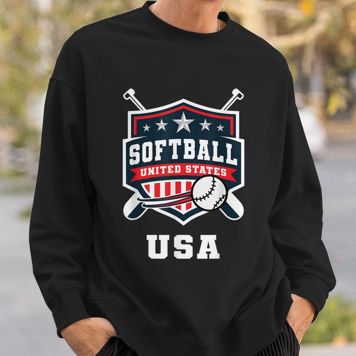 Softball Usa Support The Team Usa Flag Sweatshirt Gifts for Him