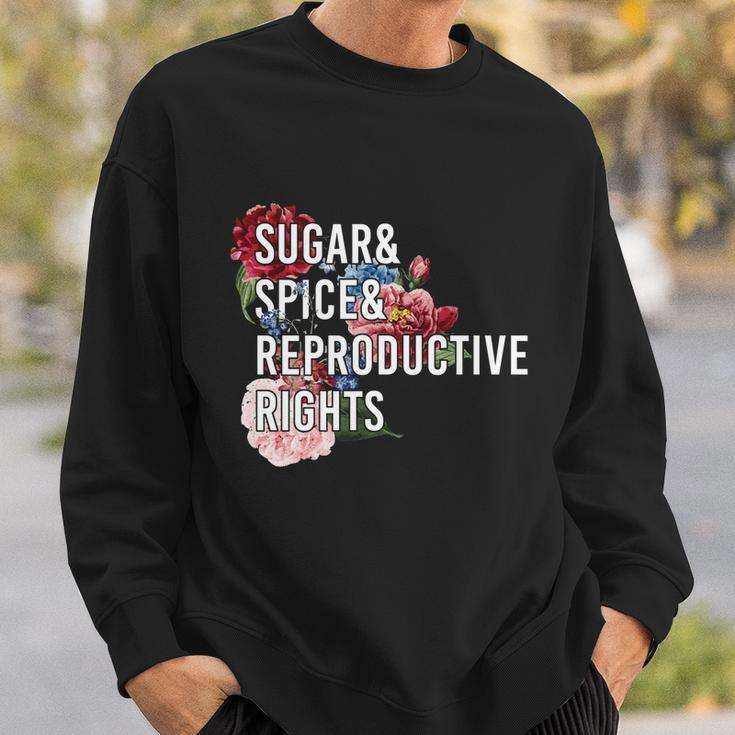 Sugar And Spice And Reproductive Rights Floral Progiftchoice Funny Gift Sweatshirt Gifts for Him