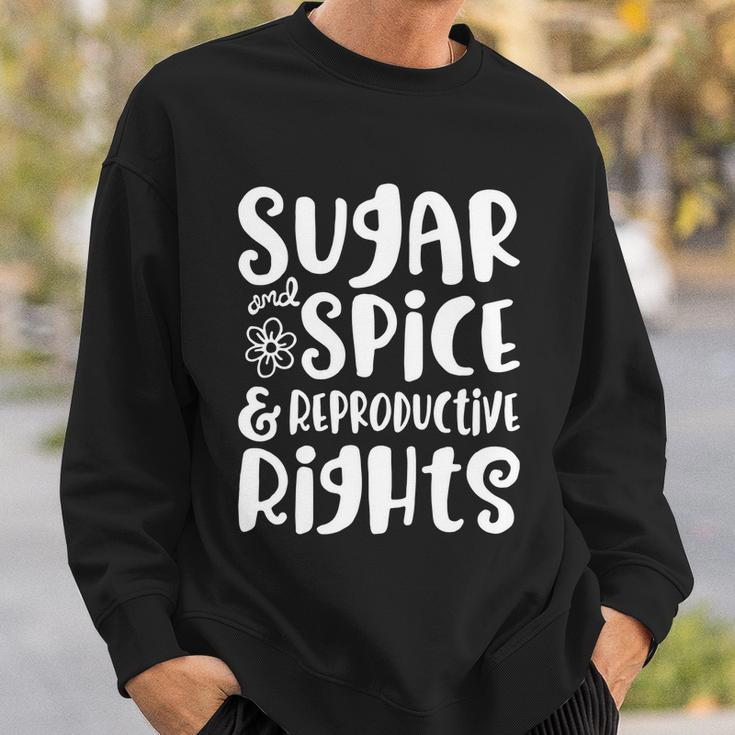 Sugar And Spice And Reproductive Rights Gift Sweatshirt Gifts for Him