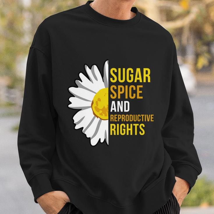 Sugar Spice And Reproductive Rights Gift Sweatshirt Gifts for Him