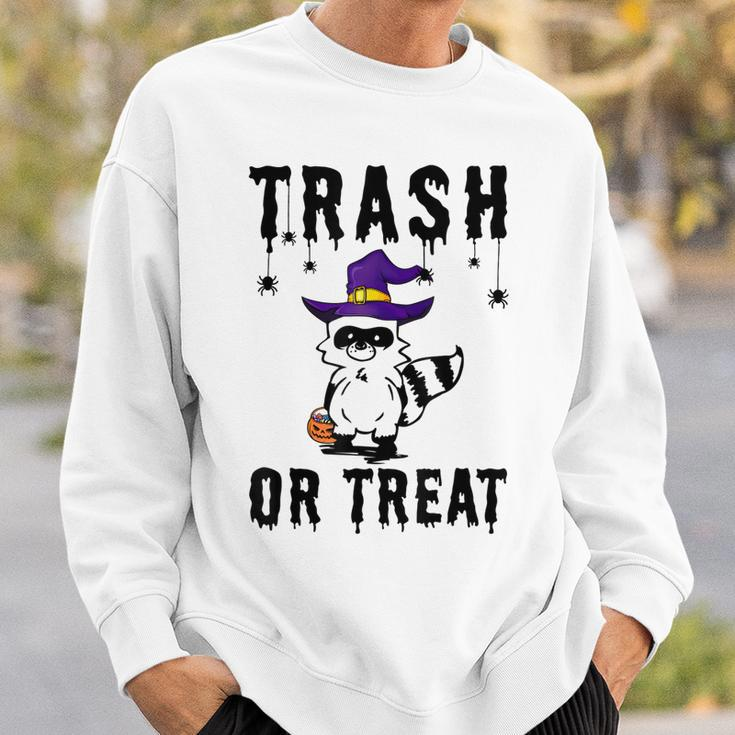 Trash Or Treat Funny Trash Panda Witch Hat Halloween Costume Sweatshirt Gifts for Him