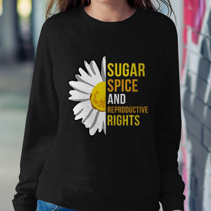 Sugar Spice And Reproductive Rights Gift Sweatshirt Gifts for Her