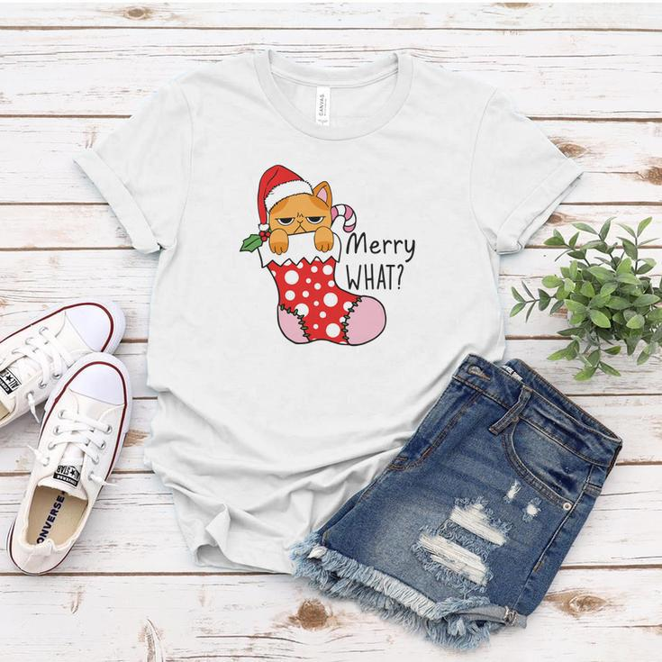 Funny Christmas Cat Merry What Xmas Holiday Women T-shirt Funny Gifts