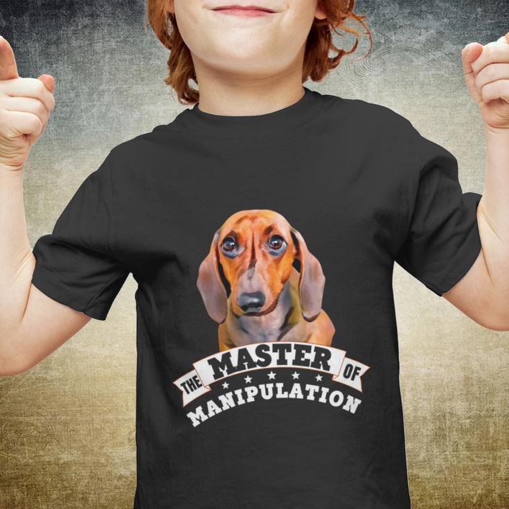 Doxie Wiener Dog Lover Pet Dad Mom Funny Dachshund Gift Youth T-shirt