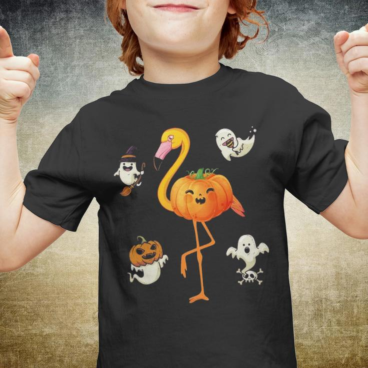 Flamingo Pumpkin Halloween Bird Lover Gifts For Girls And Boys Tshirt Youth T-shirt