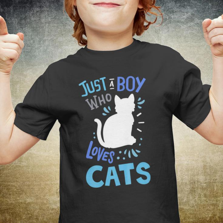 Kids Cat Just A Boy Who Loves Cats Gift For Cat Lovers Youth T-shirt