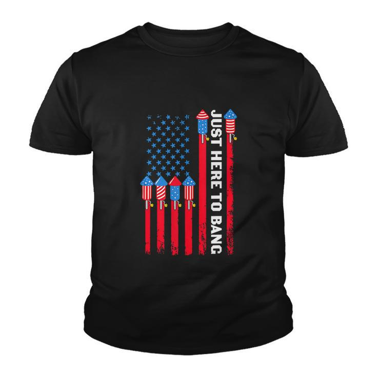 4Th Of July Funny Im Just Here To Bang Usa Flag Youth T-shirt