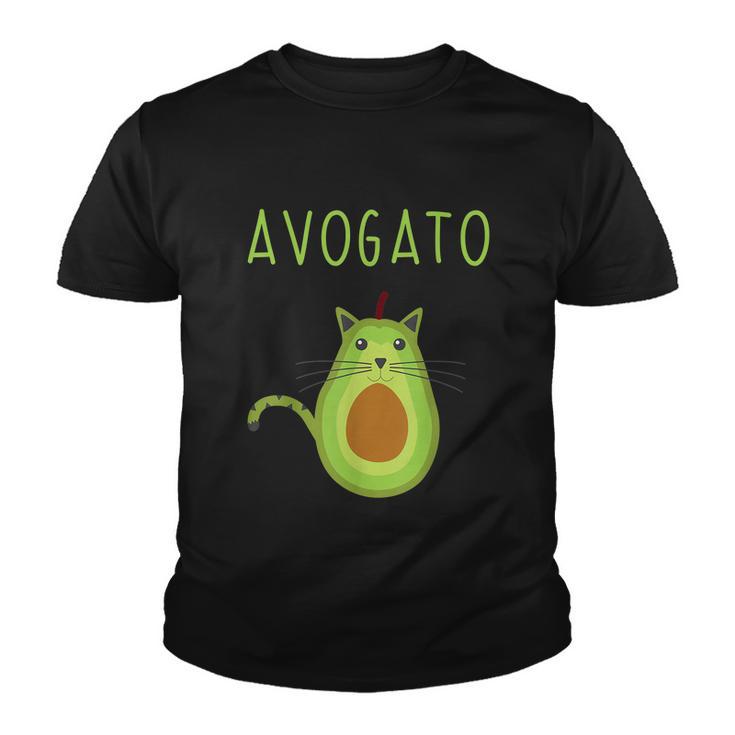 Funny Avogato Cinco De Mayo Gift Cinco De Meow Cat Avocado Gift Youth T-shirt