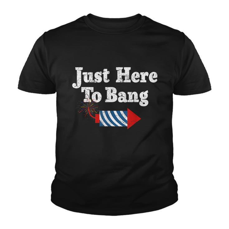 Funny Fourth Of July 4Th Of July Im Just Here To Bang Youth T-shirt