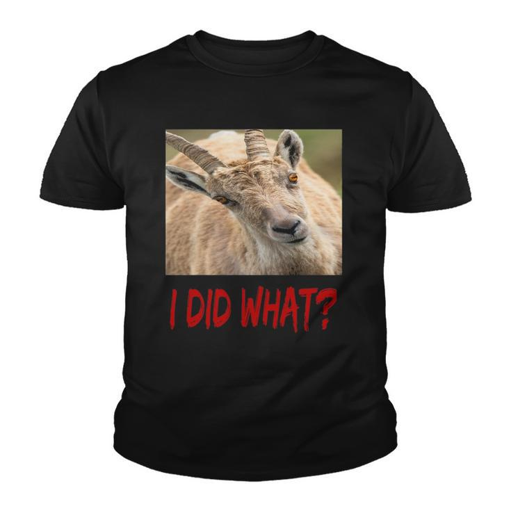 Funny Horned Scapegoat Tee I Did What Youth T-shirt