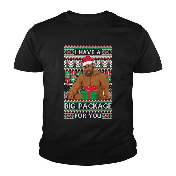 Funny I Have A Big Package For You Ugly Christmas Sweater Tshirt Youth T-shirt