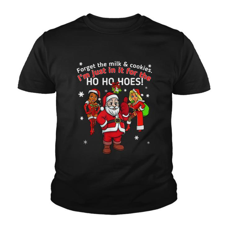 I Do It For The Hos Santa Funny Inappropriate Christmas Men Graphic Design Printed Casual Daily Basic Youth T-shirt