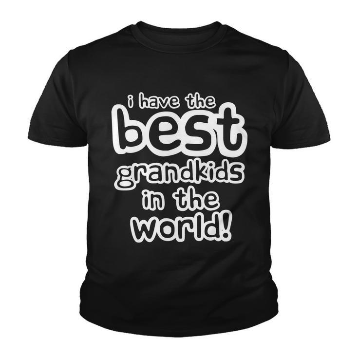 I Have The Best Grandkids In The World Tshirt Youth T-shirt