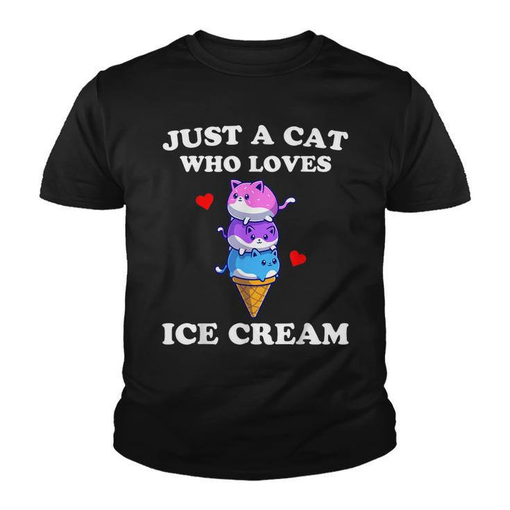 Just A Cat Who Loves Ice Cream Just A Girl Cats Lover Youth T-shirt